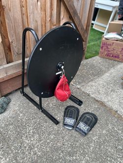 Wall Mounted Speed Bag