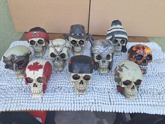 Cool Collection Of Detailed Skulls