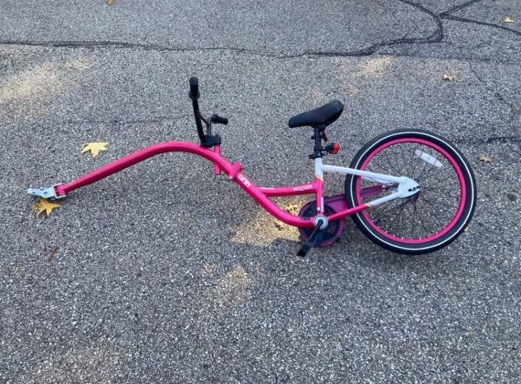 Bike Trailer for Kids