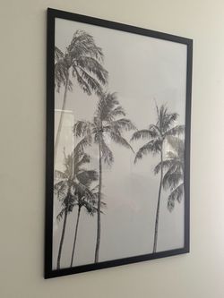 Palm tree print with frame