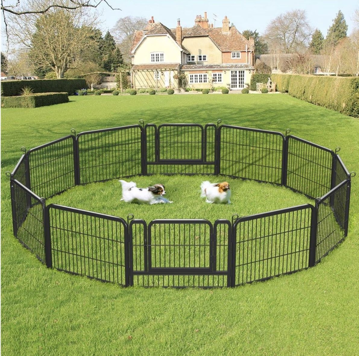 Heavy Duty Metal Dog & Cat Playpen, Black, 24-in, 12-panel