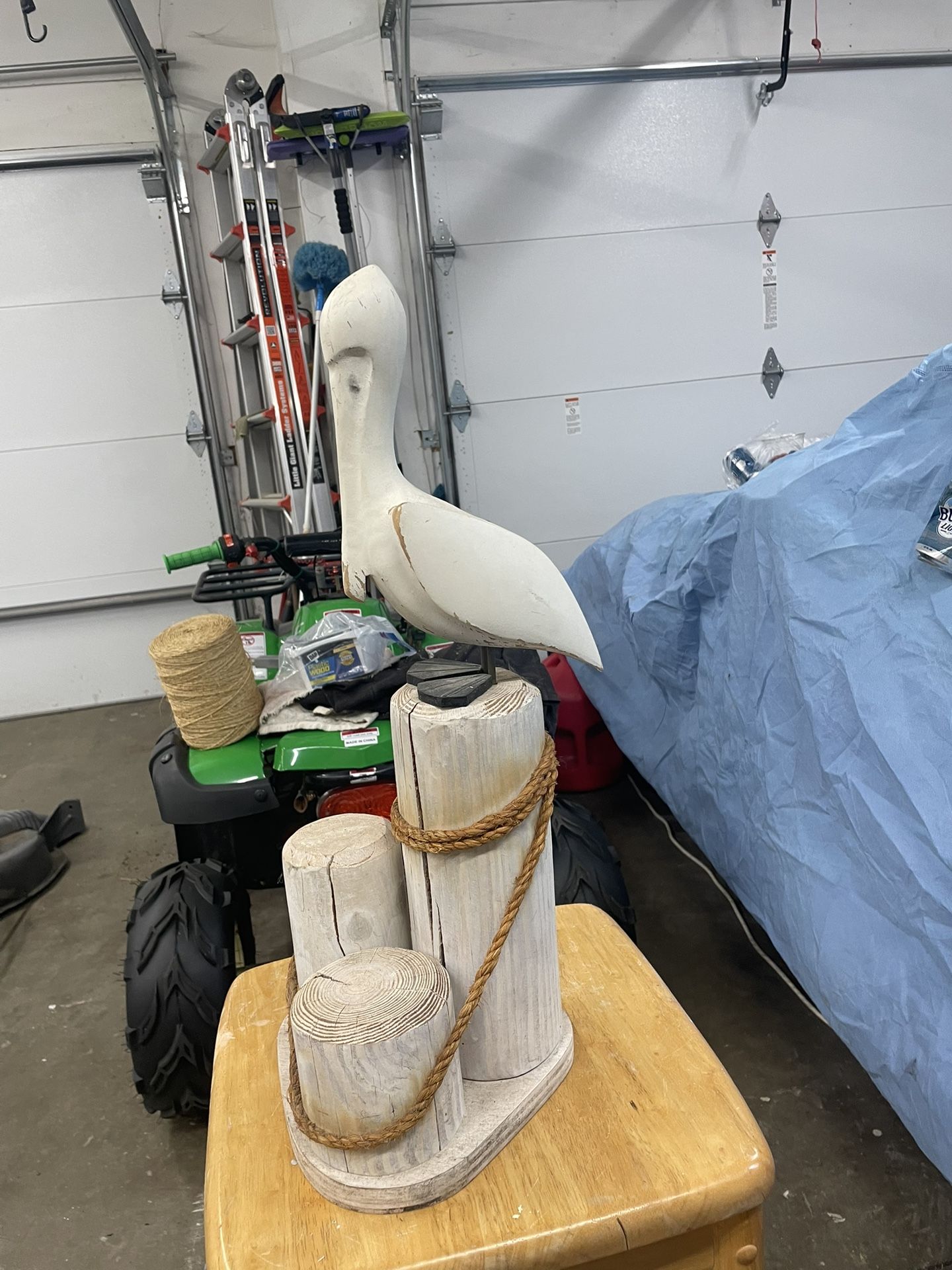 Seagull