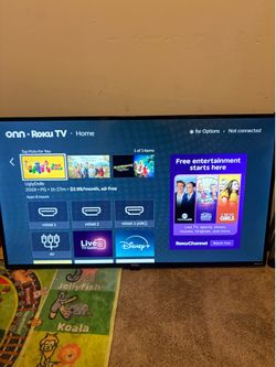 Roku 43inch Tv