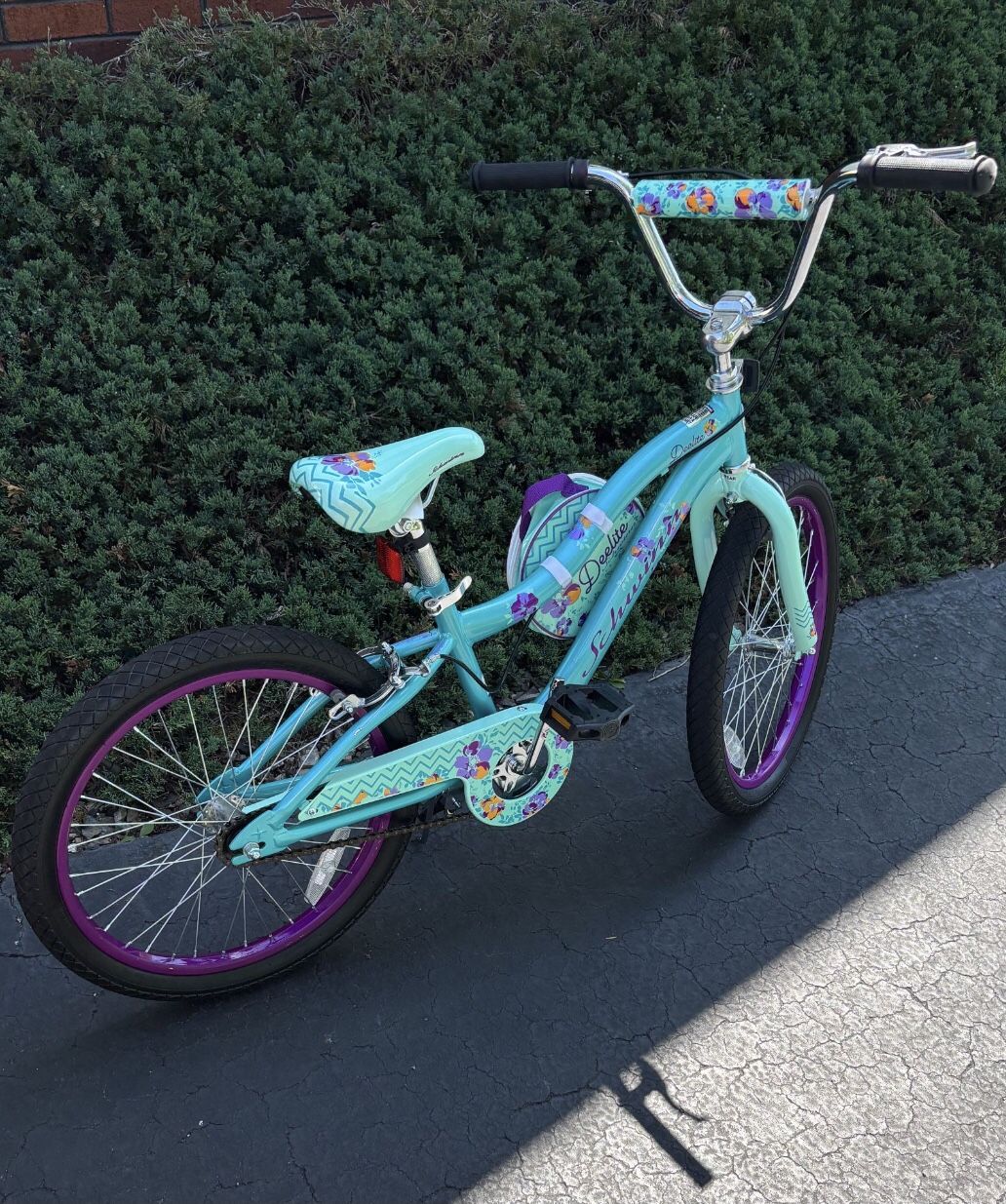 Girls 20 inch Schwinn Deelite Bicycle
