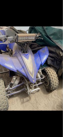 Yamaha raptor