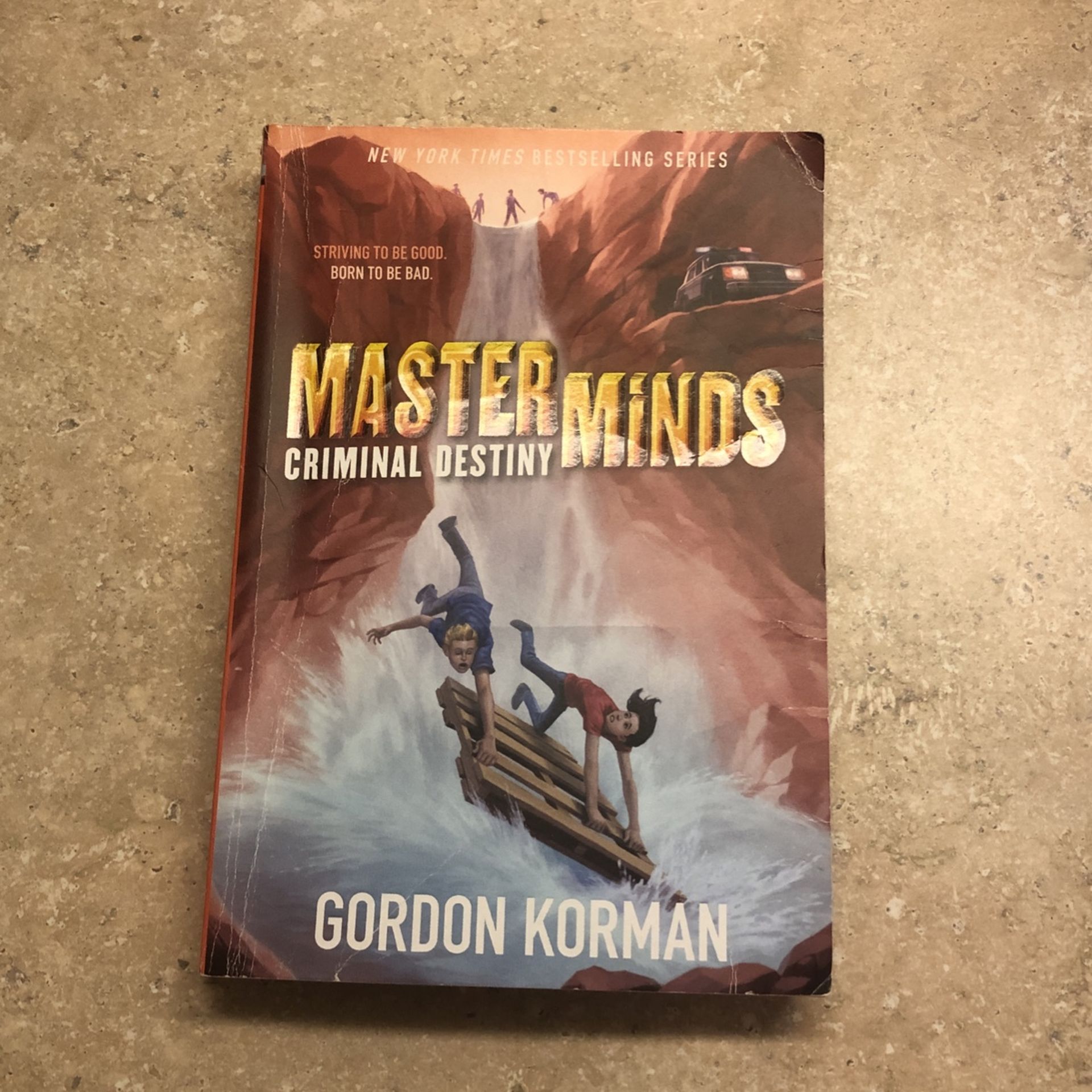 Master Minds Criminal Destiny (book 3 Final Book)