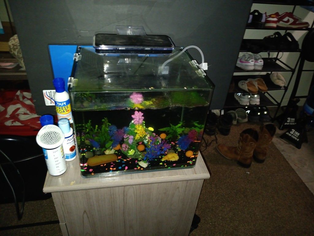 Small Cubed 7 Gallon Aquarium.