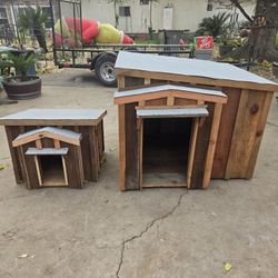 Dog House