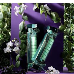 8 Essential Oils Shower Steamer  in Eucalyptus, Tea Tree, Spearmint & Peppermint