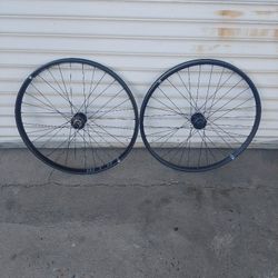 WTB Asym i29 Rims