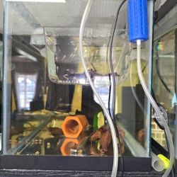 Fishtank Accessories 