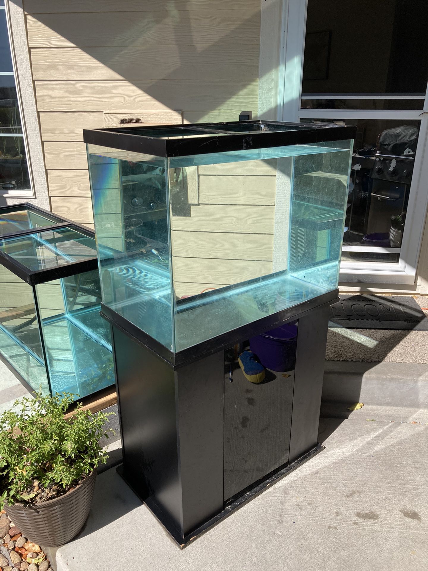 65 Gallon Aquarium & Nice Stand With Glass Door (Fish Tank)