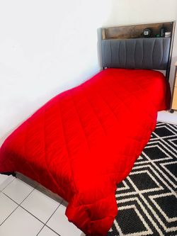 Metal and wood twin bed, with charger