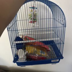 Bird Cage