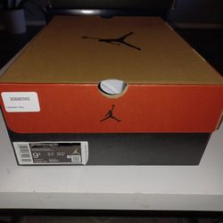 Jordan Retro 12s Size 9.5