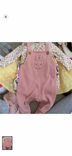 Carters Pink Overall Set with Floral Top
