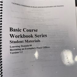 CA POST Learning Domains