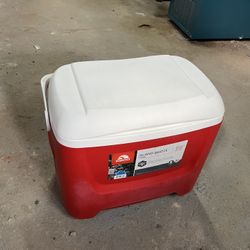 Igloo Cooler - 26 Liter