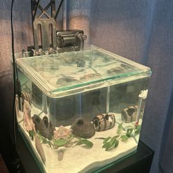 3.7 Gallon Aquarium Complete Setup