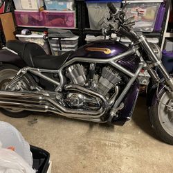 2004 Harley Davidson VRSCA VROD