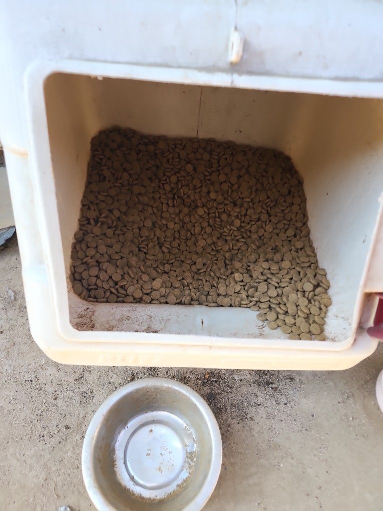 Dog Food Donation. Best Offers
