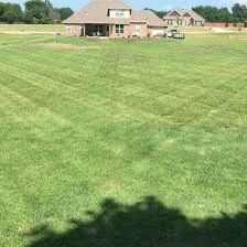 Lawn 