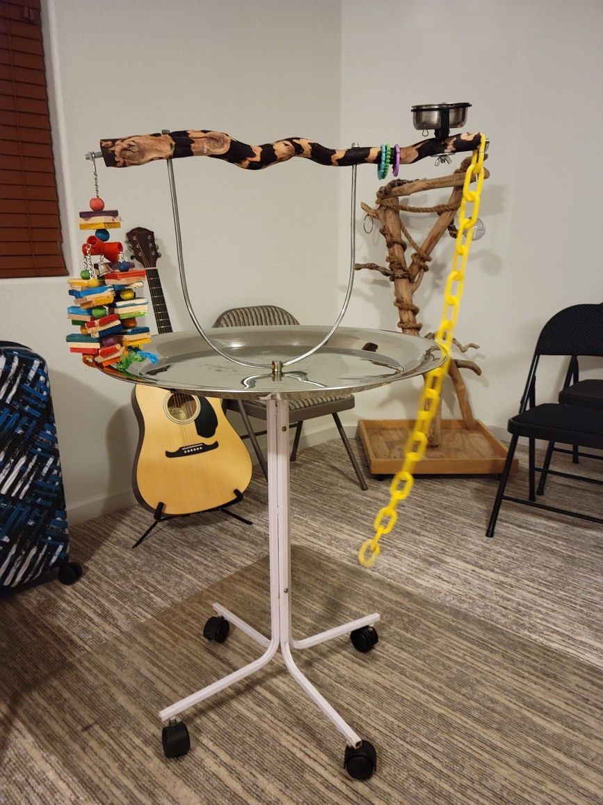 Bird 🐦 🦜 Stand