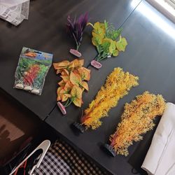 8 Like New Clean Aquarium Plant Decor Asking $35 For All Must Pick Up Broadway And APACHE BUCKEYE AZ 