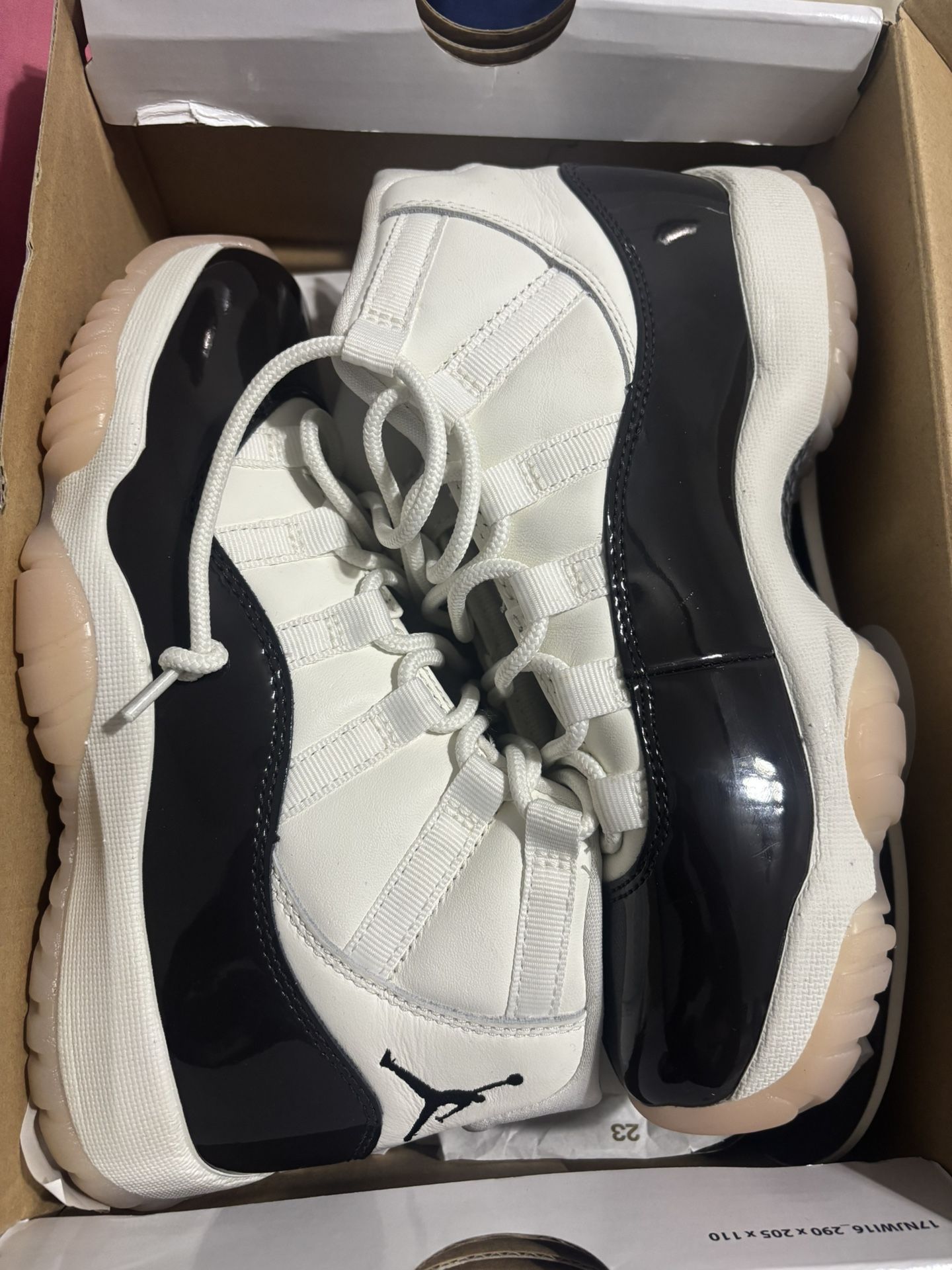 Jordan 11 Neapolitan