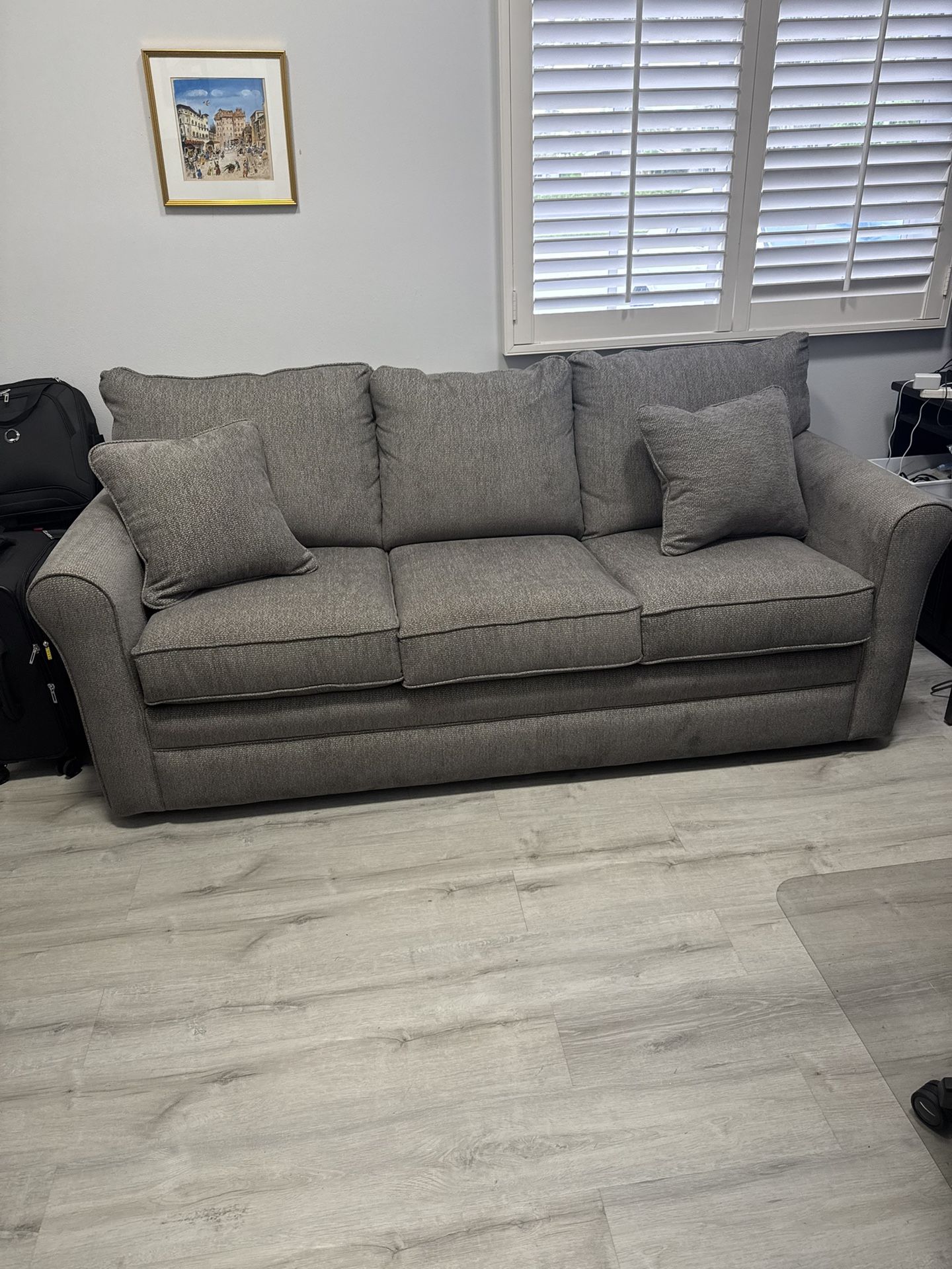 Hide A Bed.. Sleeper Sofa
