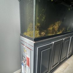 Acuario