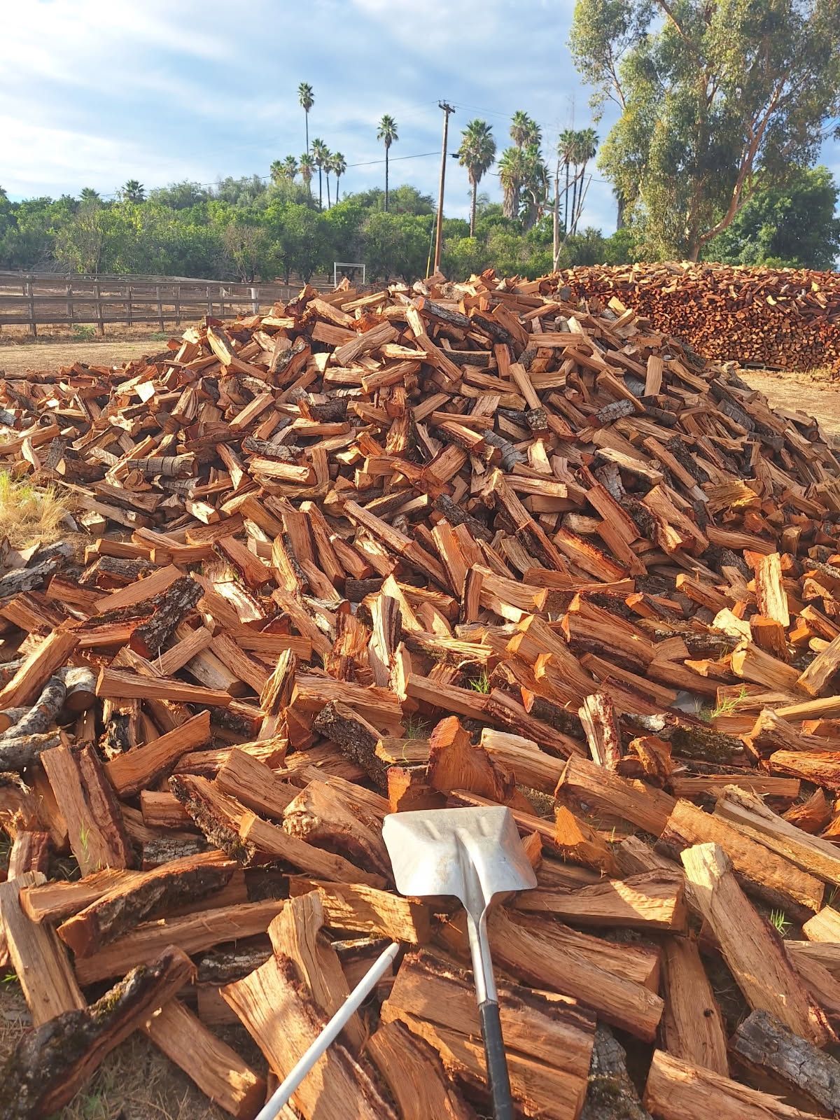 Best Firewood Around 