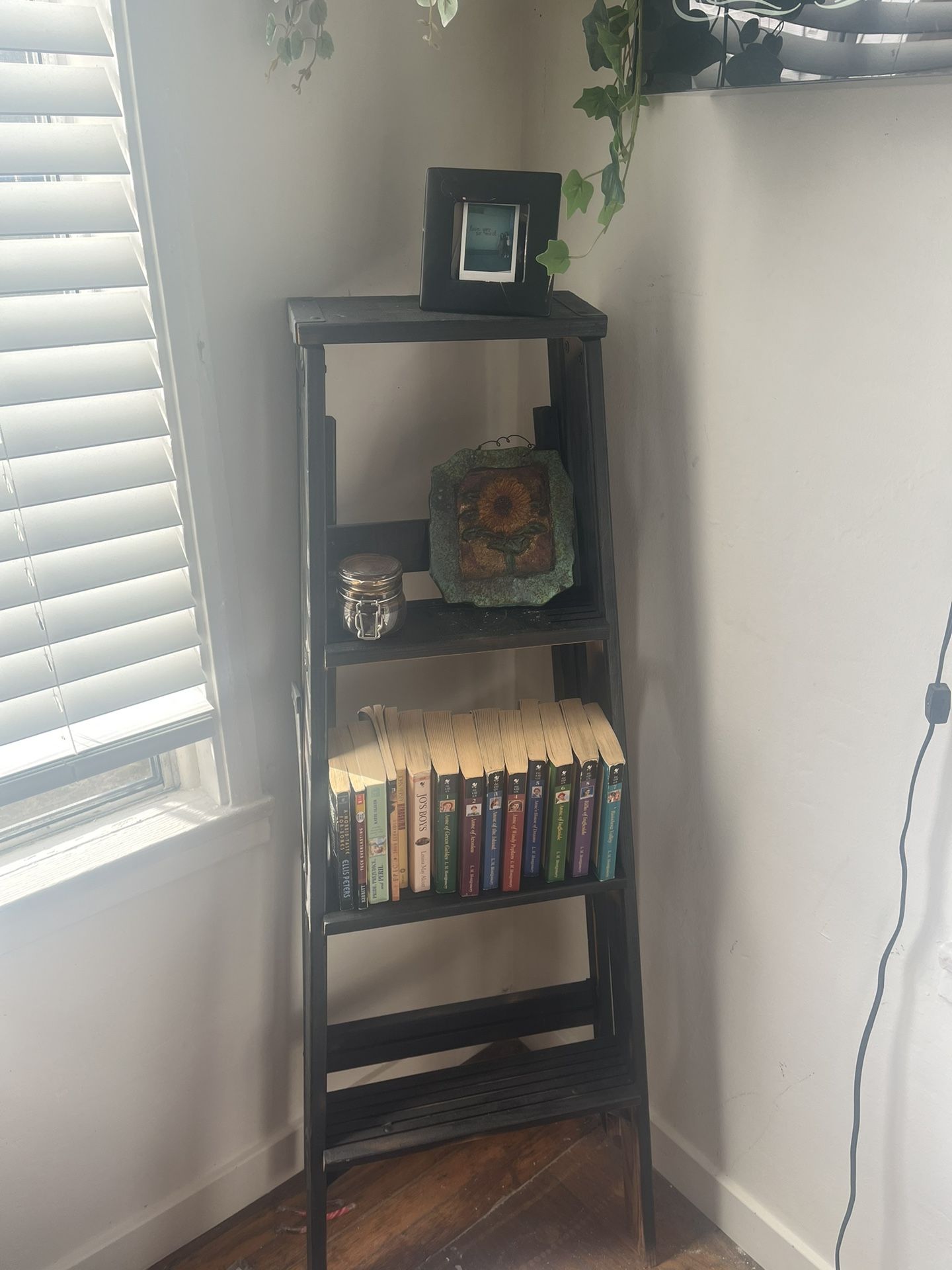 Ladder Shelf