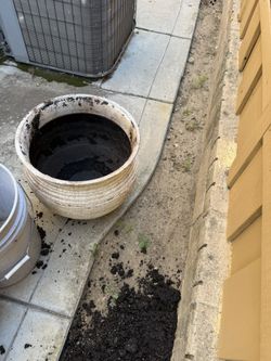 3xLarge planting Pot