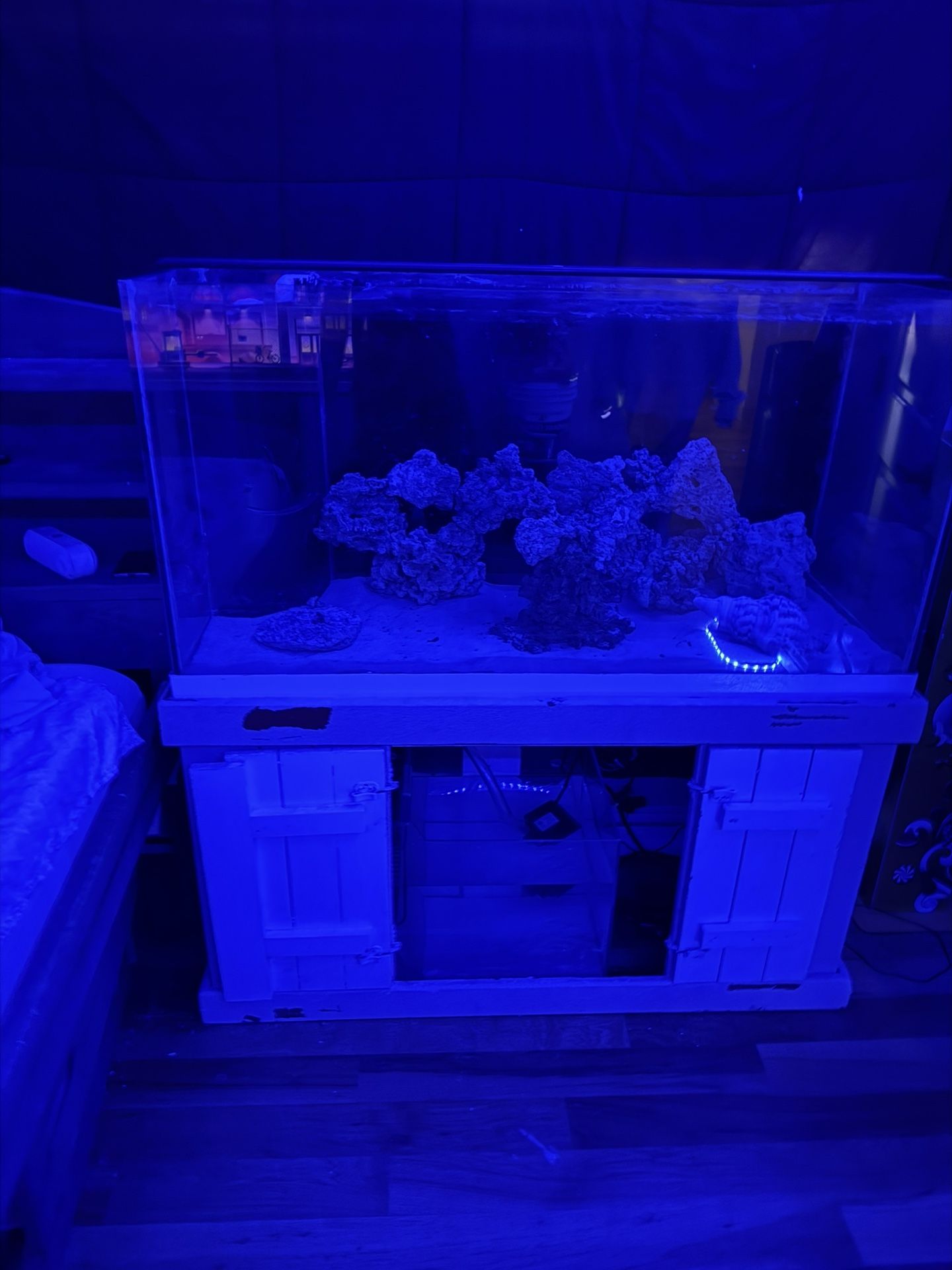 Fish Tank