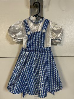Dorthy From The Wizard Of Oz Costume