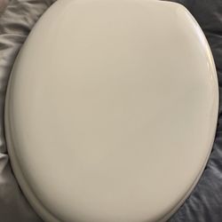 Mayfair Edgewater Elongated Enameled Wood Toilet Seat
