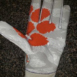 Left Hand Clemson Glove.