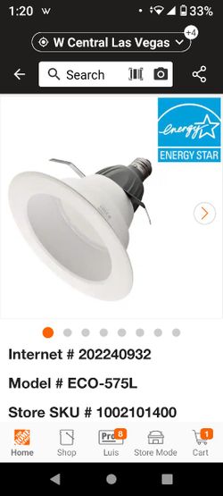 Ecosmart Ceiling Lights (6)