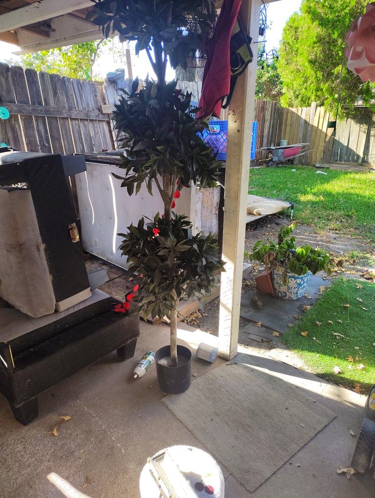 Fake plants 100 each