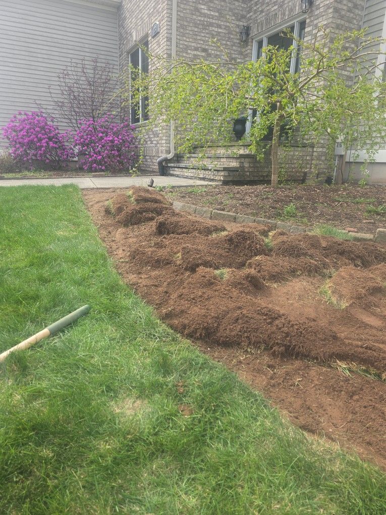 Sod Squares