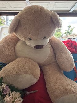 Jumbo bear