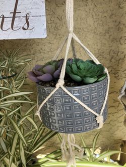 Faux Succulent on Ceramic Planter