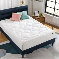 Brand New 12" Queen Size Memory Foam Mattress Only Not The Bed