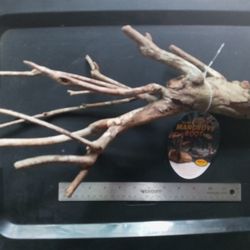 Aquarium Driftwood (Aquarium/Tropical Fish)