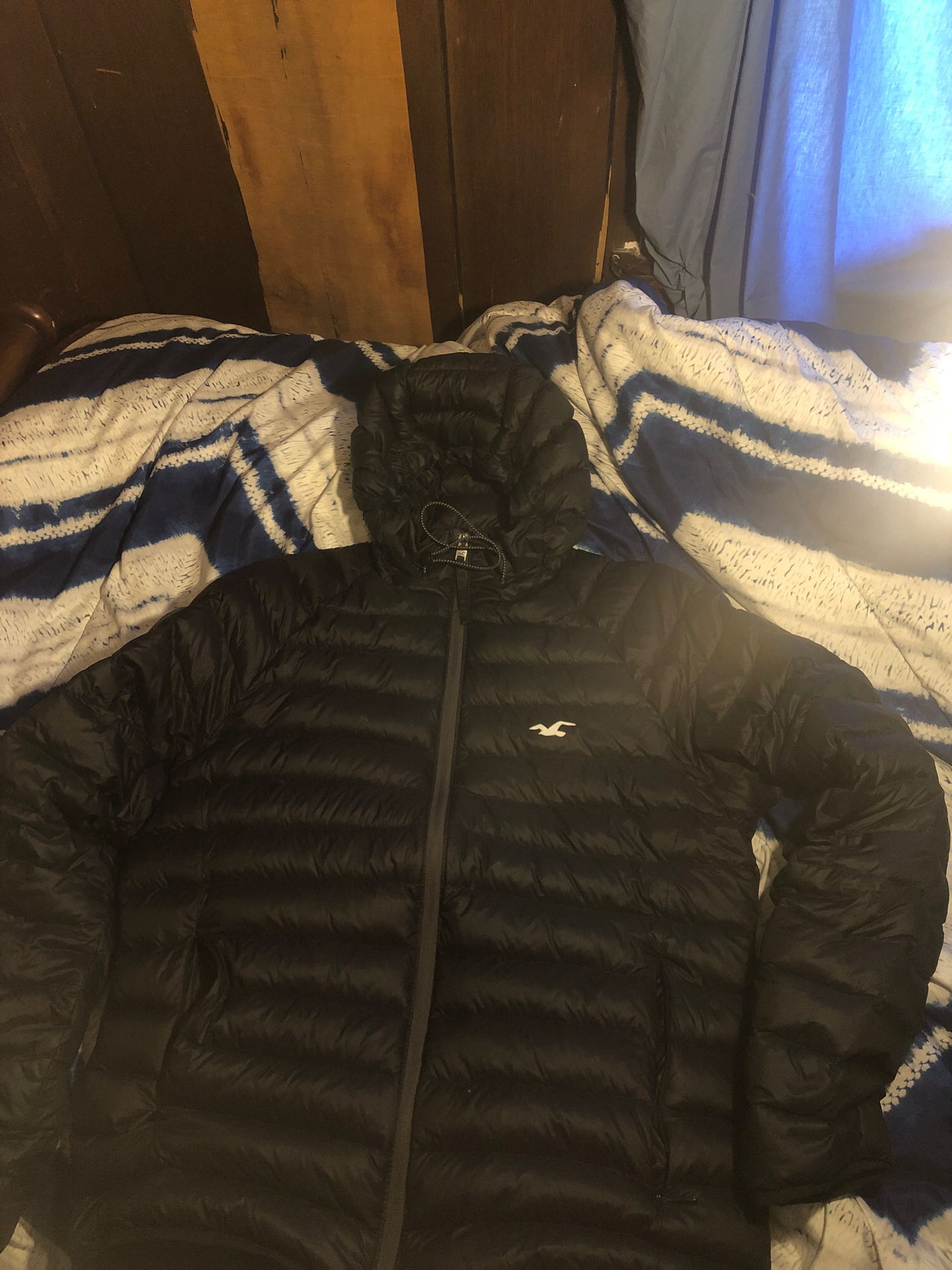Hollister Jacket (Size M)