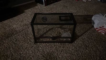Glass Reptile Terrarium with Screen Lid