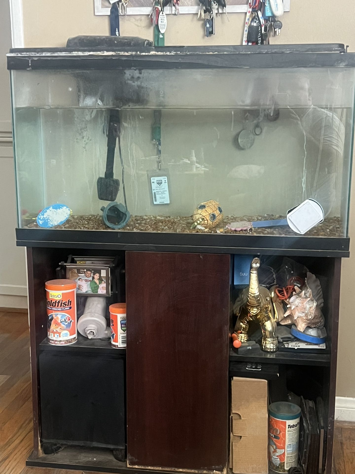 Chap- Fish Tank With Filter 