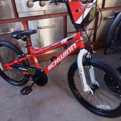 LIKE NEW BIKE SCHWINN KDEN TIRES SIZE 20 BMX 