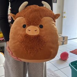 Dunkie The SQUISHMALLOW